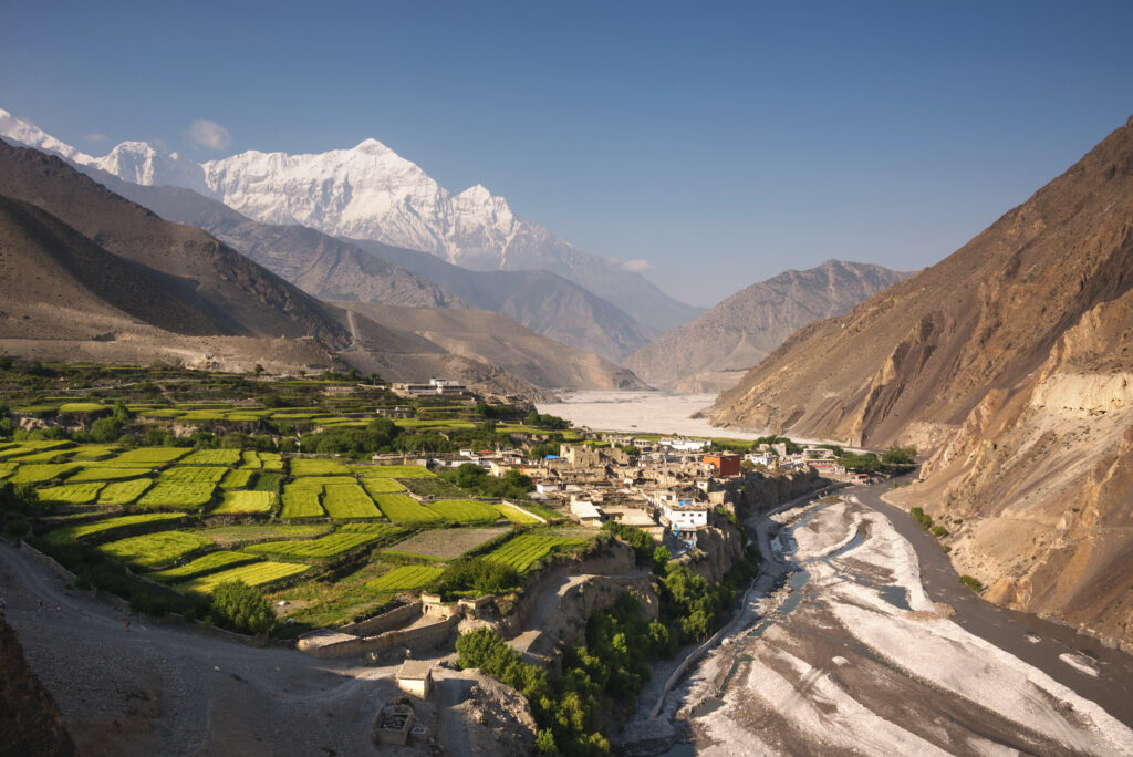 upper mustang